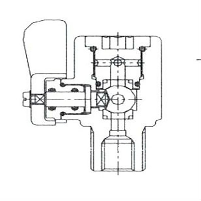 QF-T1H Brass Refill Auto CNG Valve for Vehicle