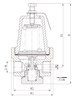 DYS-15D Brass Cryogenic Pressure Building Regulator for Storage Tank