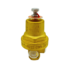 DYZ-06C Brass Low Temperature Cryogenic Combination Pressure Regulator