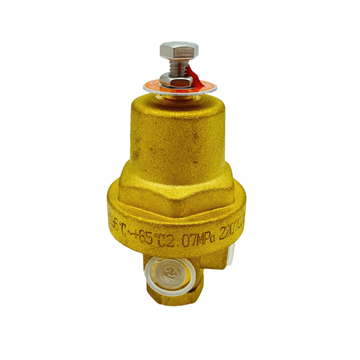 DYZ-06C Brass Low Temperature Cryogenic Combination Pressure Regulator