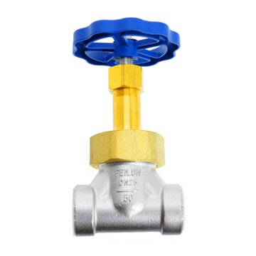 DJ-25P1 Short Stem Socket Weld Cryogenic Globe Valve for LNG Transportation