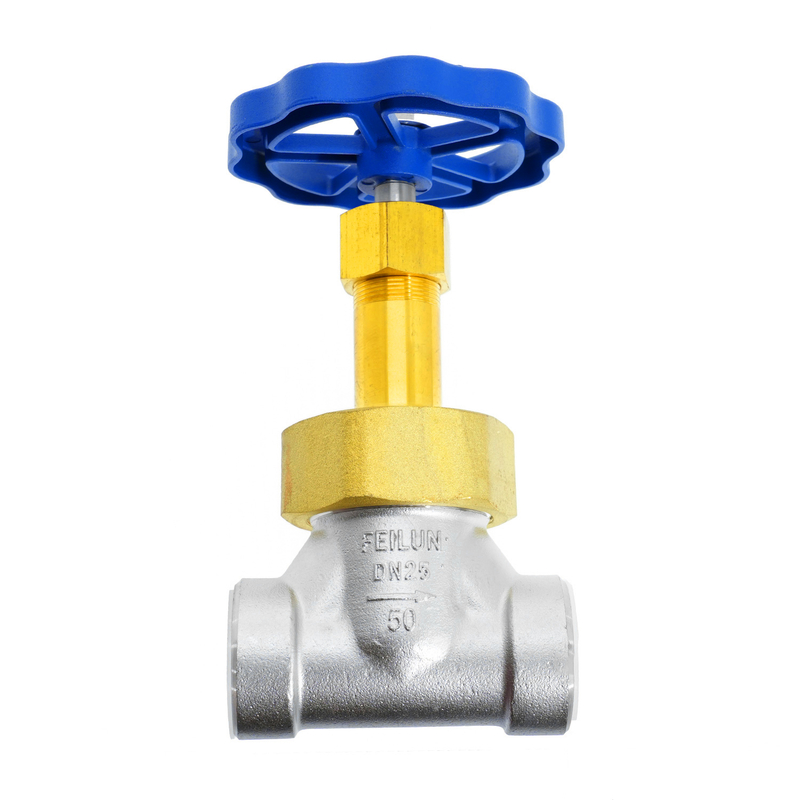 DJ-25P1 Short Stem Socket Weld Cryogenic Globe Valve for LNG Transportation