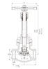 DJ-25 CF8 LNG 50Bar Long Stem Cryogenic Globe Valve