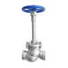 DJ-65DA DN65 50Bar Welding Long Stem Cryogenic Globe Valve