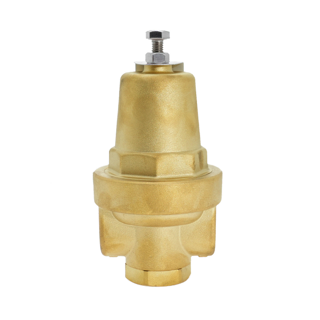 DYS-15D Brass Cryogenic Pressure Building Regulator for Storage Tank