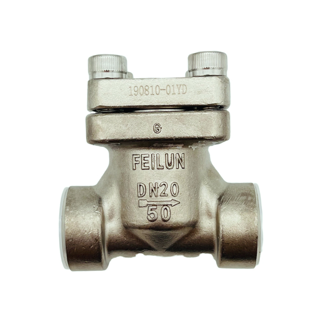 DH-20B Stainless Steel Socket Weld Flange Cryogenic Check Valve