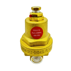 DYJ-06D Brass Low Temperature Cryogenic Reduce Pressure Economizer