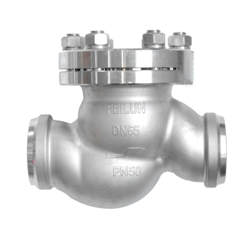 DH-65B Stainless Steel Socket Welding Flange Cryogenic Check Valve