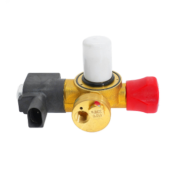 CTF-XD11B CNG Natural Gas Cylinder 12V Solenoid Valve for Car