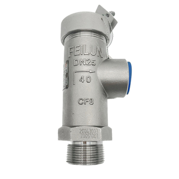 DA-25 Stainless Steel Micro Opening Cryogenic Safety Relief Valve 