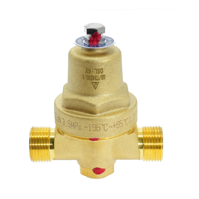 DYS-10G Brass Cryogenic Pressure Building Regulator for LNG Tank