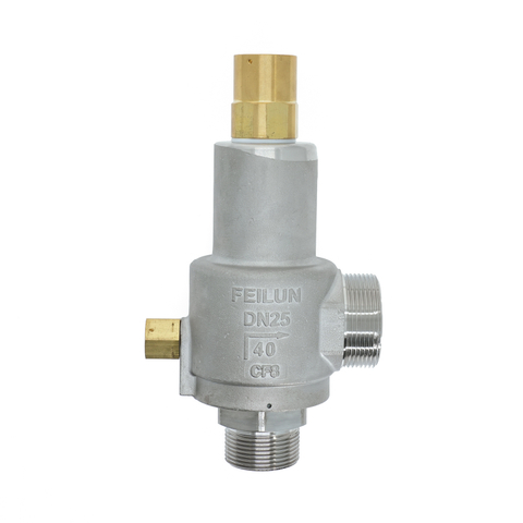DN25 Hard Seat Cryogenic Valve – Built for -196&deg;C Gas Storage Protection