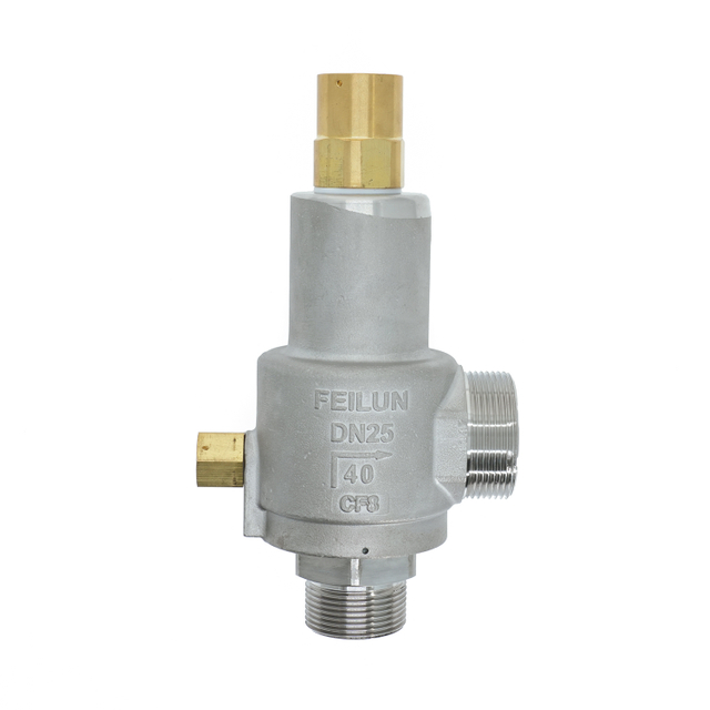DN25 Hard Seat Cryogenic Valve – Built for -196°C Gas Storage Protection