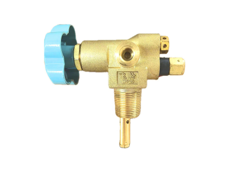 Right CNG Valve.jpg