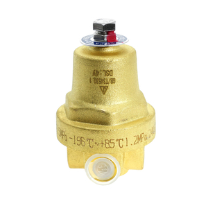 DYZ-06C Brass Low Temperature Cryogenic Combination Pressure Regulator