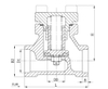 DH-25B Stainless Steel Socket Welding Flange Cryogenic Check Valve