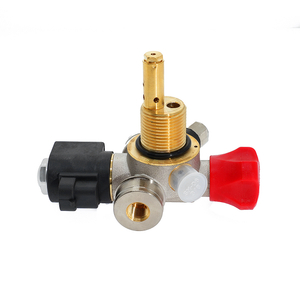 CTF-XD12C 20MPA 8MM CNG Natural Gas Solenoid Cylinder Valve