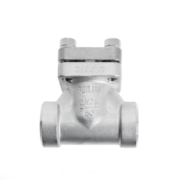 DH-25B Stainless Steel Socket Welding Flange Cryogenic Check Valve