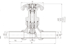 DJ-15B/18.5 LNG Cryogenic Globe Valve for Storage Tank