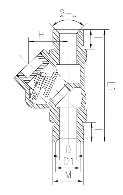 DL-15TX 15MM Cryogenic Excess Flow Valve for LNG Tank