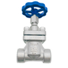 DJ-20G Short Stem Gryogenic Globe Valve for Trailer Truck