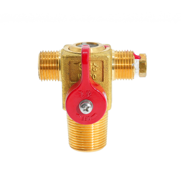 QF-T1 CNG Natural Gas Cylinder Tank Valve for Vehicle 