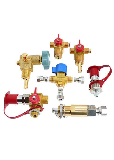 CNG Valves