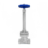 DJ-20D CF8 Socket Weld Long Stem Cryogenic Globe Valve