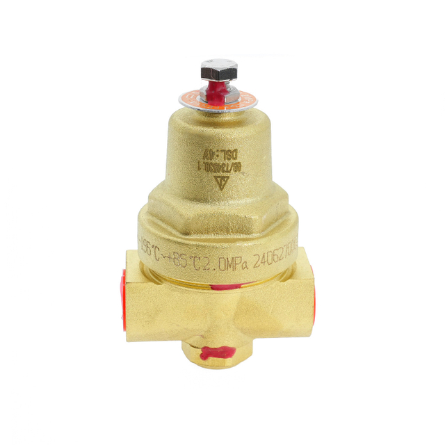 DYS-06F Cryogenic Pressure Building Regulator for Low Tempertature Storage Tank