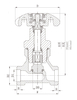 DJ15B-18 LNG Stort Stem Cryogenic Globe Valve for Storage Tank